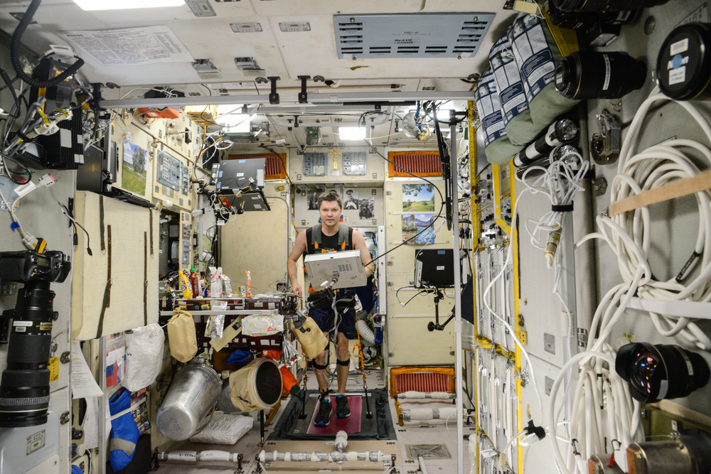 Flight engineer and Roscosmos cosmonaut Oleg Kononenko, wearing a harness and electrodes, uses the BD-2 treadmill during Motocard experiment operations in the Zvezda Service Module aboard the International Space Station.