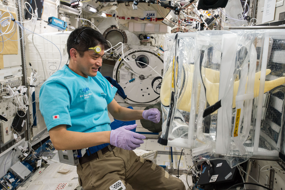 Flight engineer and JAXA (Japan Aerospace Exploration Agency) astronaut Takuya Onishi works with the Glove Box set up on the Kobairo Rack (JPM1F3) in the Kibo Japanese Experiment Pressurized Module (JPM). Credit: Jeff Williams