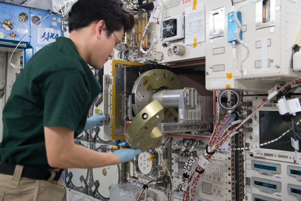 A person wearing a green shirt and tan pants in a microgravity laboratory.