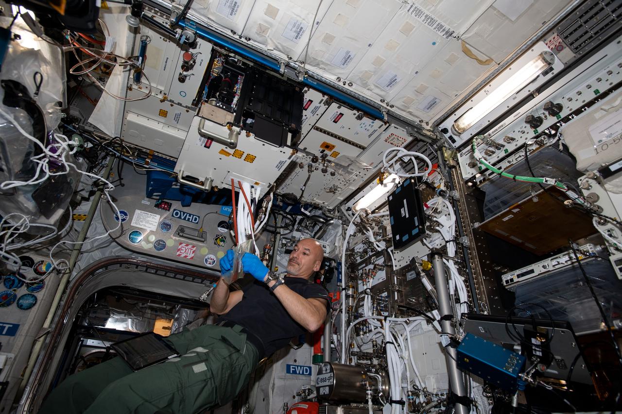 A view of ESA astronaut Luca Parmitano during the installation of the MultiScale Boiling Experiment Container in the Fluid Science Laboratory aboard the space station. Credits: NASA