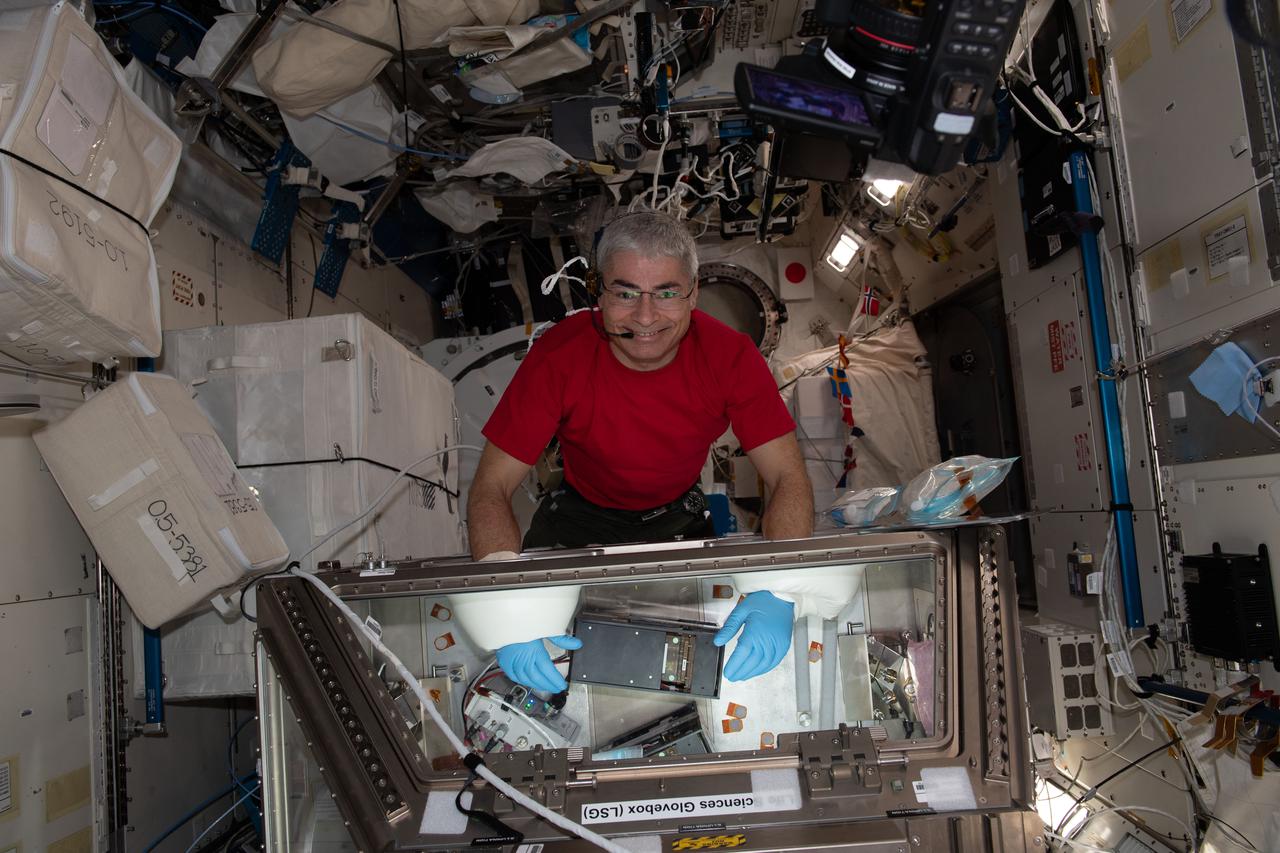 NASA astronaut and Expedition 65 Flight Engineer Mark Vande Hei conducts research inside the Life Science Glovebox for the Kidney Cells-02 experiment that seeks to improve treatments for kidney stones and osteoporosis. Credits: NASA