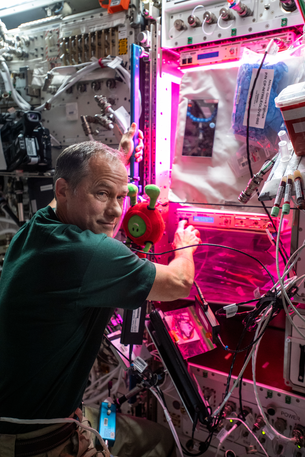 An image of a person in a green shirt looking at the camera while working in a microgravity laboratory.