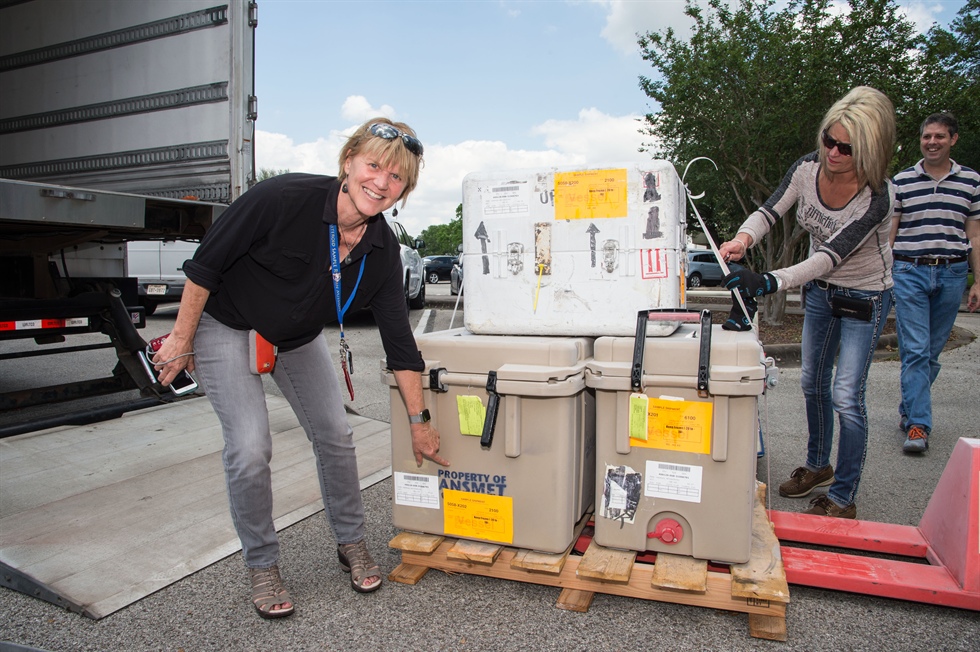 meteorites arrive at JSC