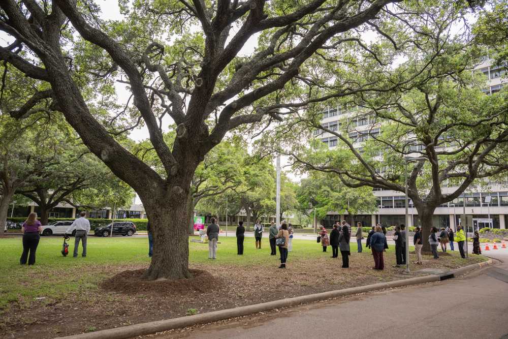A group of people stands at staggered intervals under large trees in front of an office building.