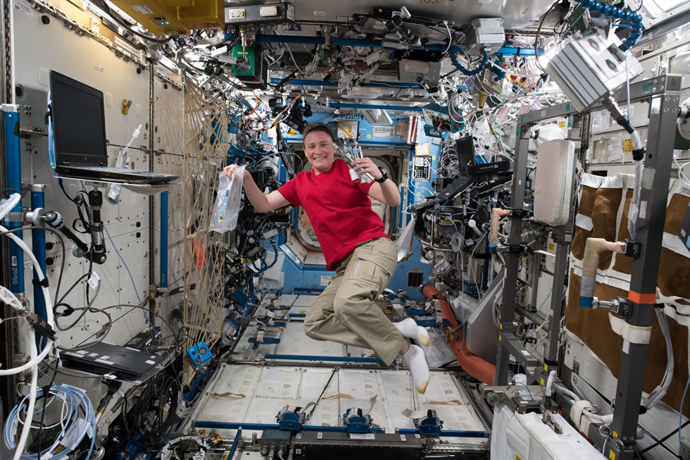 Expedition 56 Flight Engineer Serena Auñón-Chancellor of NASA is pictured in the Destiny laboratory module of the International Space Station June 11, 2018, with gear from the Bone Marrow Adipose Reaction: Red Or White (MARROW) investigation.