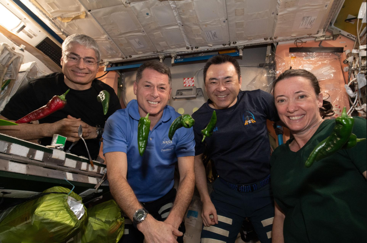 Expedition 66 flight engineers NASA astronauts Mark Vande Hei and Shane Kimbrough, JAXA astronaut Aki Hoshide, and NASA astronaut Megan McArthur added some spice to their diets on Oct. 29 when they and ESA (European Space Agency) astronaut and Expedition 66 Commander Thomas Pesquet sampled seven freshly harvested mild heat chile peppers. Credits: NASA