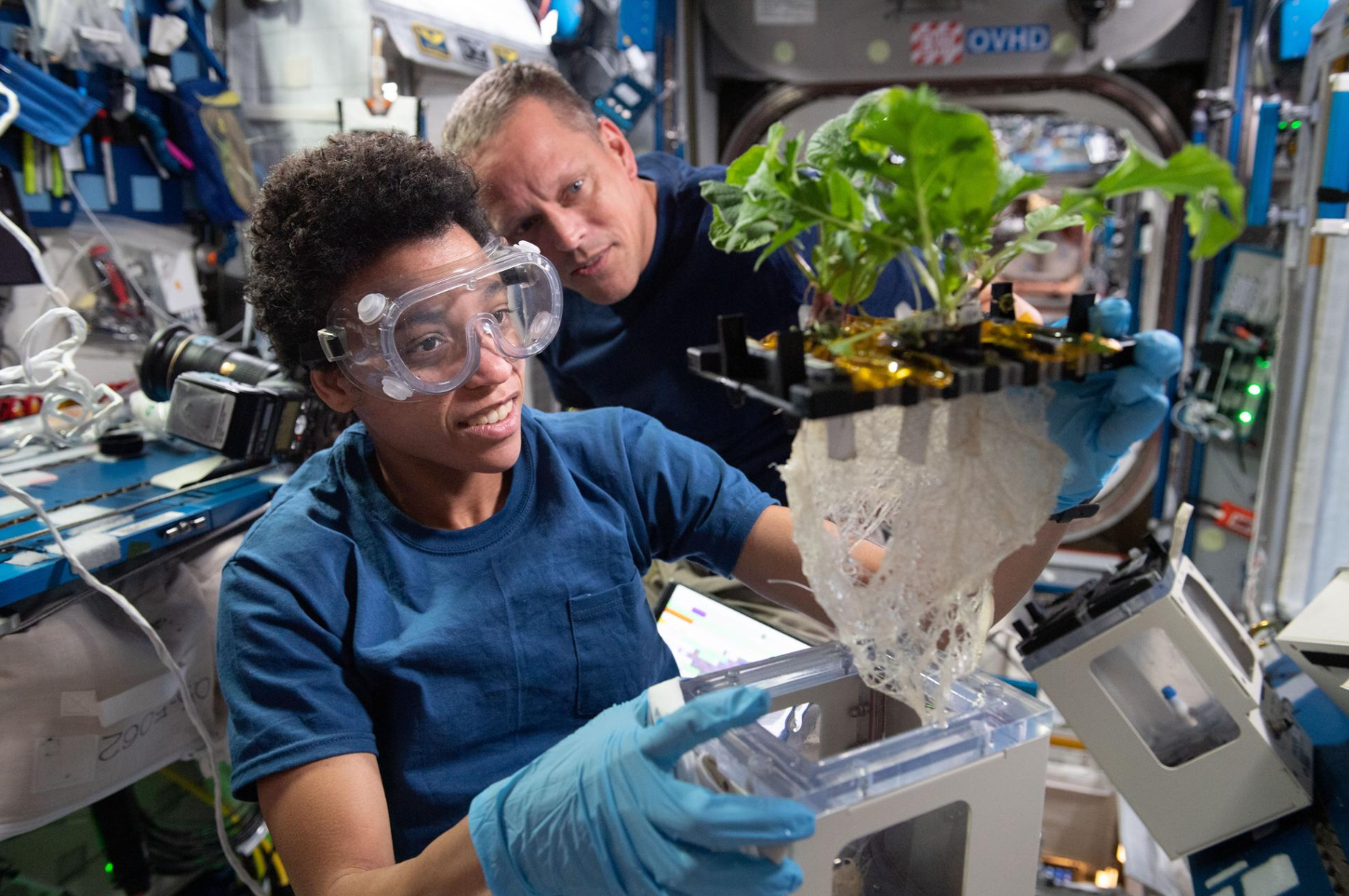 NASA astronauts Jessica Watkins and Bob Hines work on XROOTS, which used the station’s Veggie facility to test liquid- and air-based techniques to grow plants rather than traditional growth media. Credits: NASA