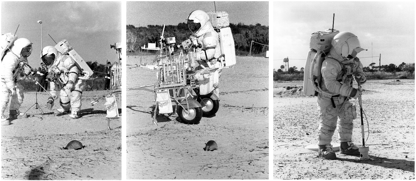 Rehearsing the second Apollo 14 lunar surface spacewalk. Left: Mitchell, left, and Shepard practice collecting rock samples using a football as a stand-in, while an armadillo burrows into the ground.  Middle: An armadillo observes Shepard retrieving tools from the MET. Right: Mitchell uses the “thumper” device to generate small seismic waves. Credits: NASA