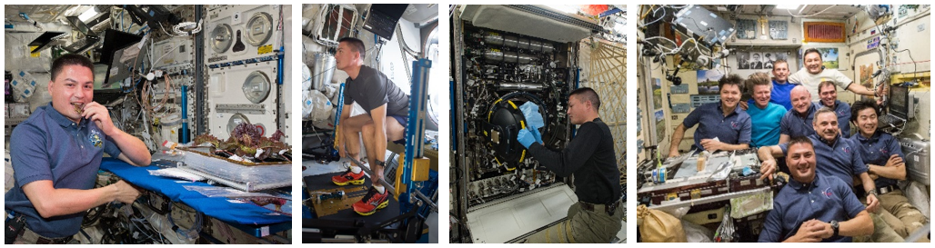 Far left: NASA astronaut Kjell N. Lindgren taste-testing the lettuce grown in the Veggie device. Middle left: Lindgren exercises using the Advanced Resistive Exercise Device equipment. Middle right: Lindgren works with the Combustion Integrated Rack. Far right: Lindgren, front and center, with his Expedition 44 and 45 crewmates. Credits: NASA