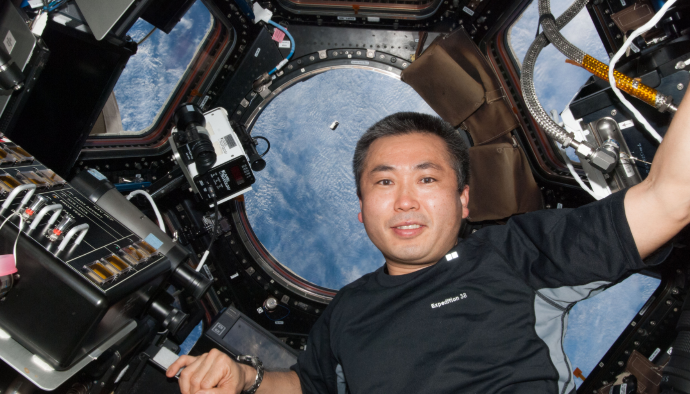 JAXA astronaut Koichi Wakata, Expedition 38 flight engineer, is pictured near the windows in the International Space Station’s cupola as the Cygnus commercial cargo craft (visible at center) approaches the station. Credits: NASA