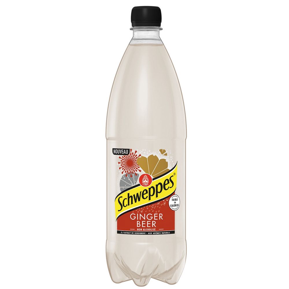 SCHWEPPES GINGER BEER PET 6X100CL