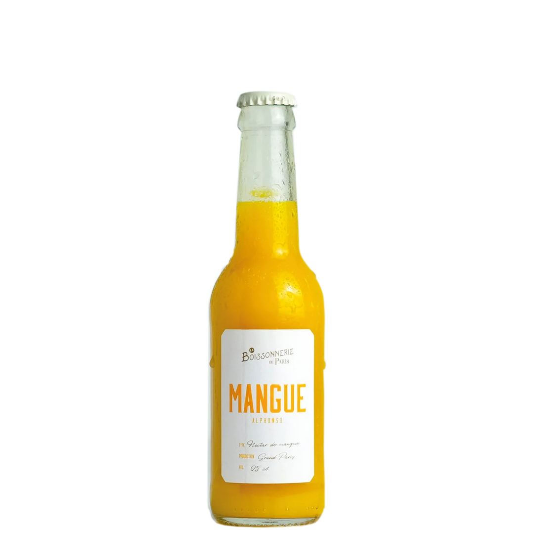 BOISSONNERIE NECTAR MANGUE 12X25CL