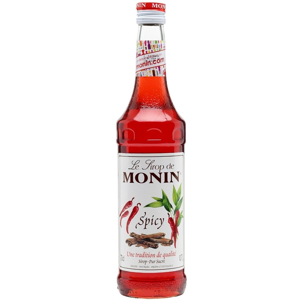 MONIN SIROP SPICY 70CL