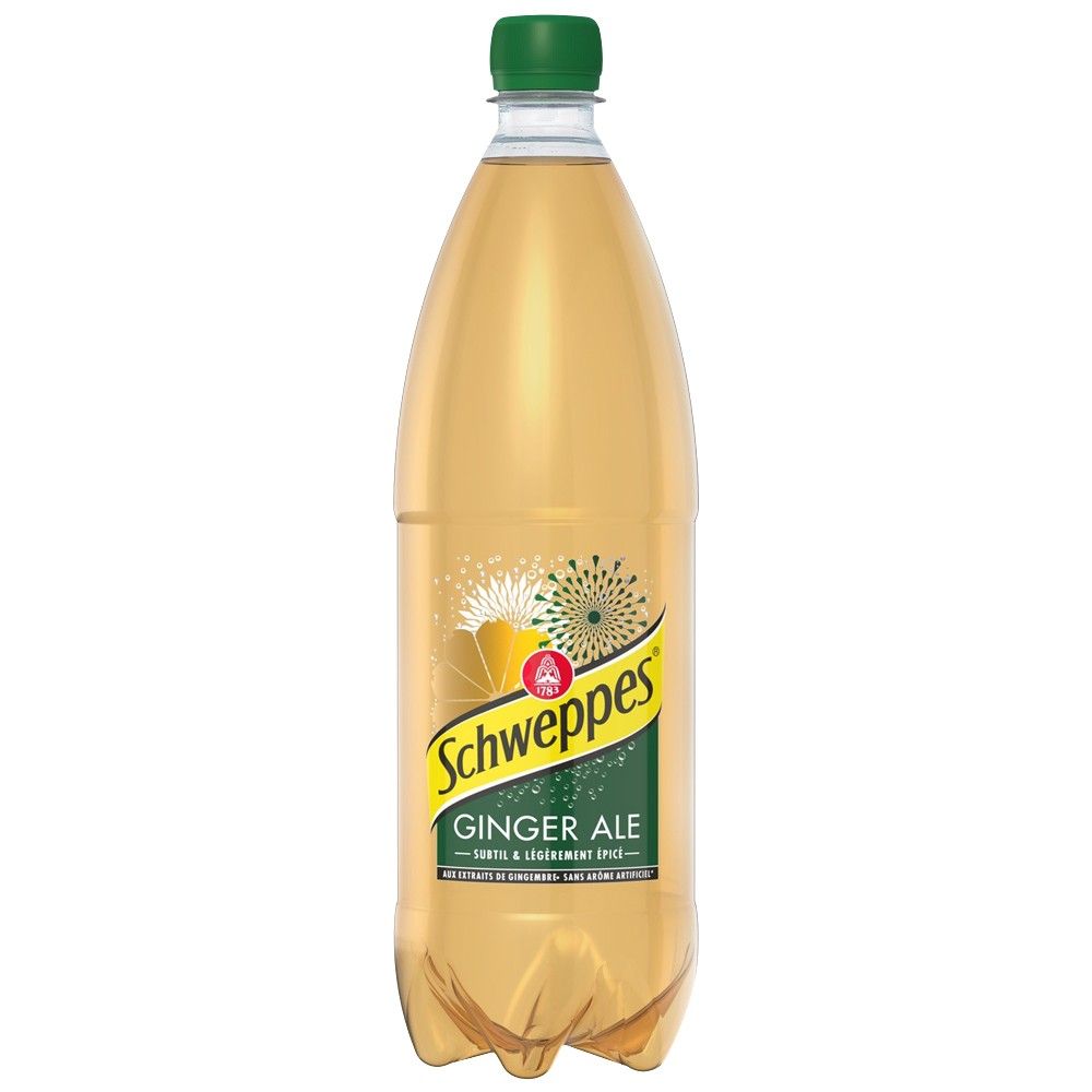 SCHWEPPES GINGER ALE PET 6X100CL