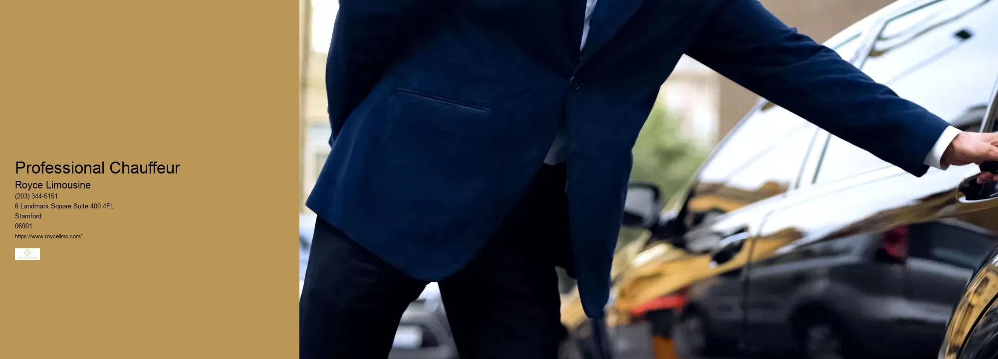 Professional Chauffeur