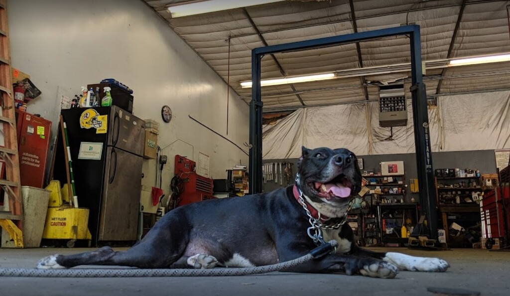 North Park Auto Richmond, VA 23227 Auto Repair