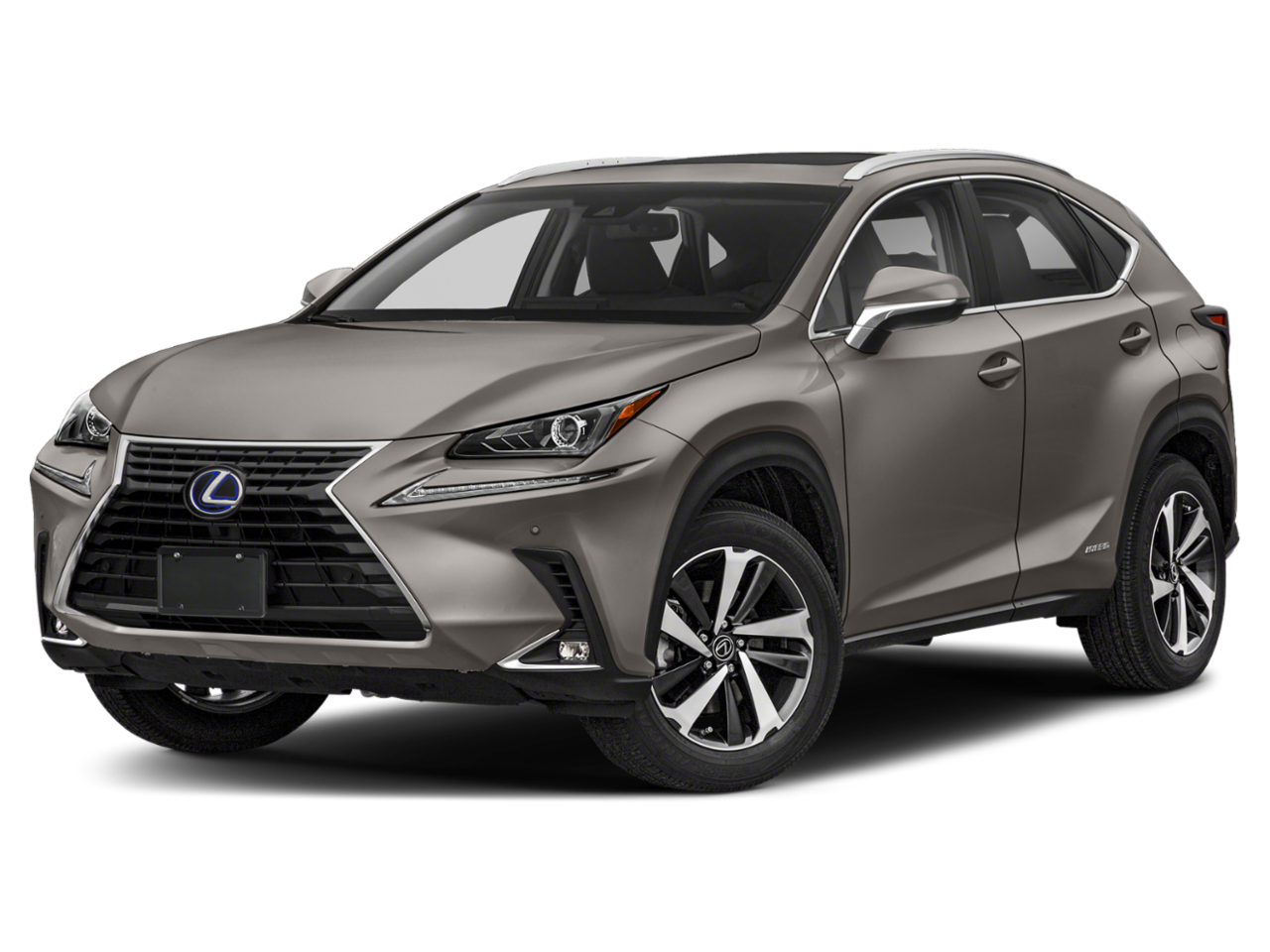 2020 Lexus NX300h