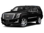 2019 Cadillac Escalade