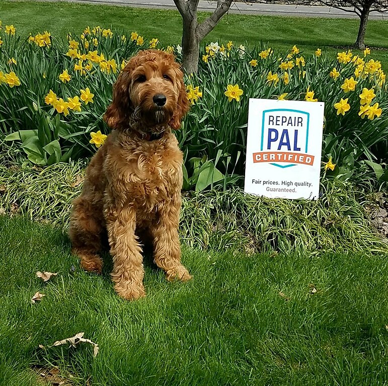 Amherst Automotive Amherst, NY 14228 Auto Repair