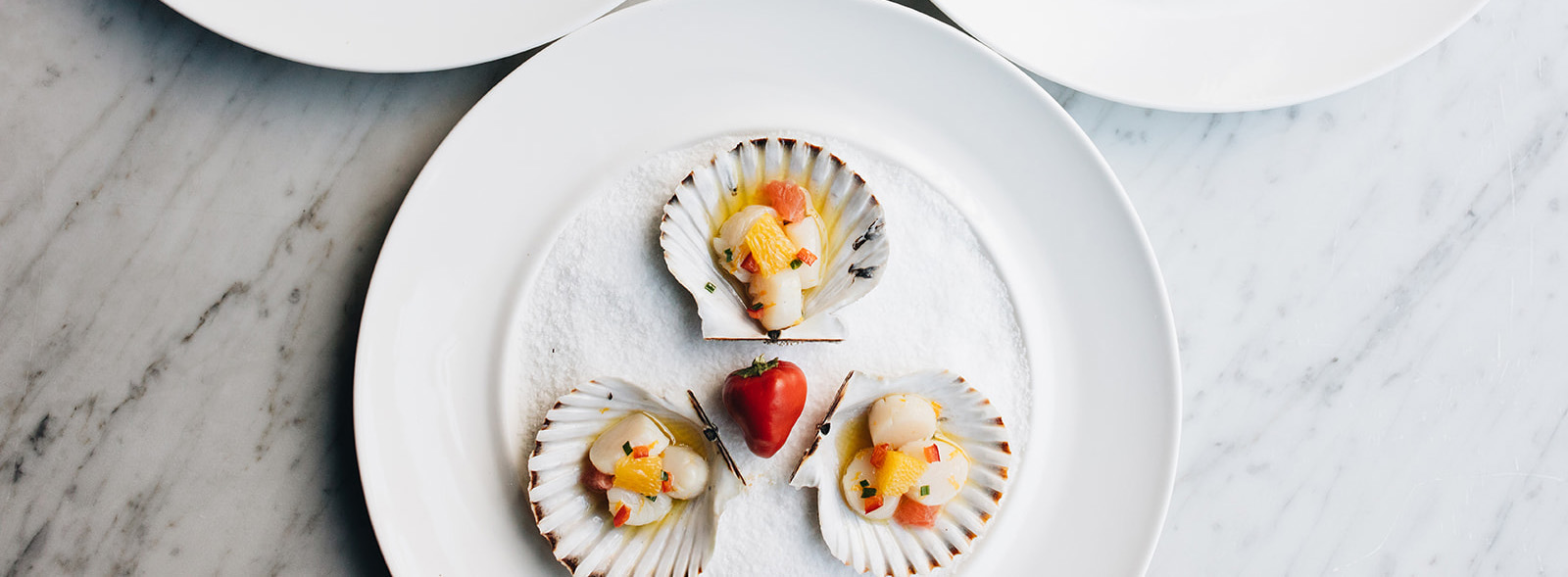 RPM Scallops 