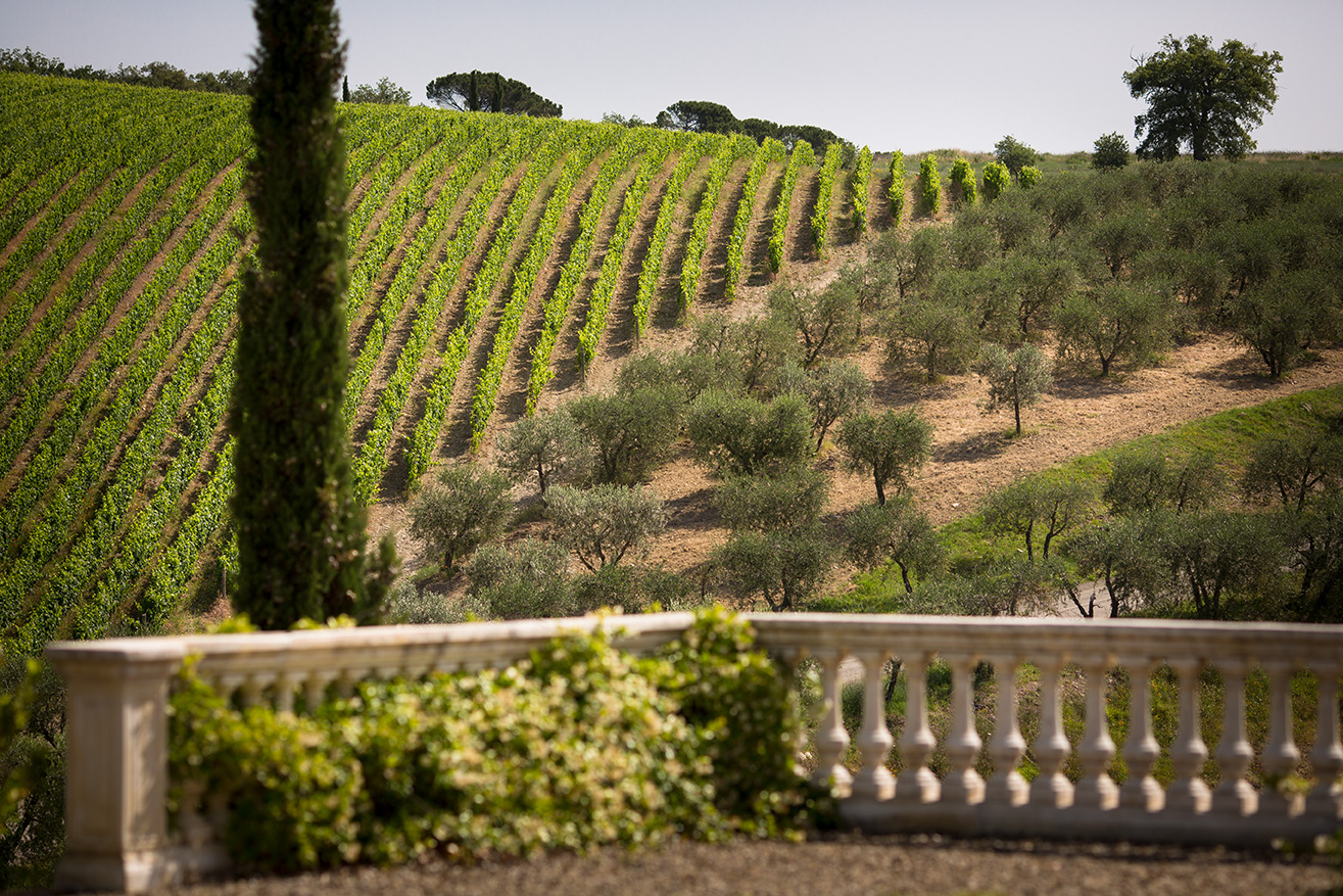 Tolaini Wine Dinner