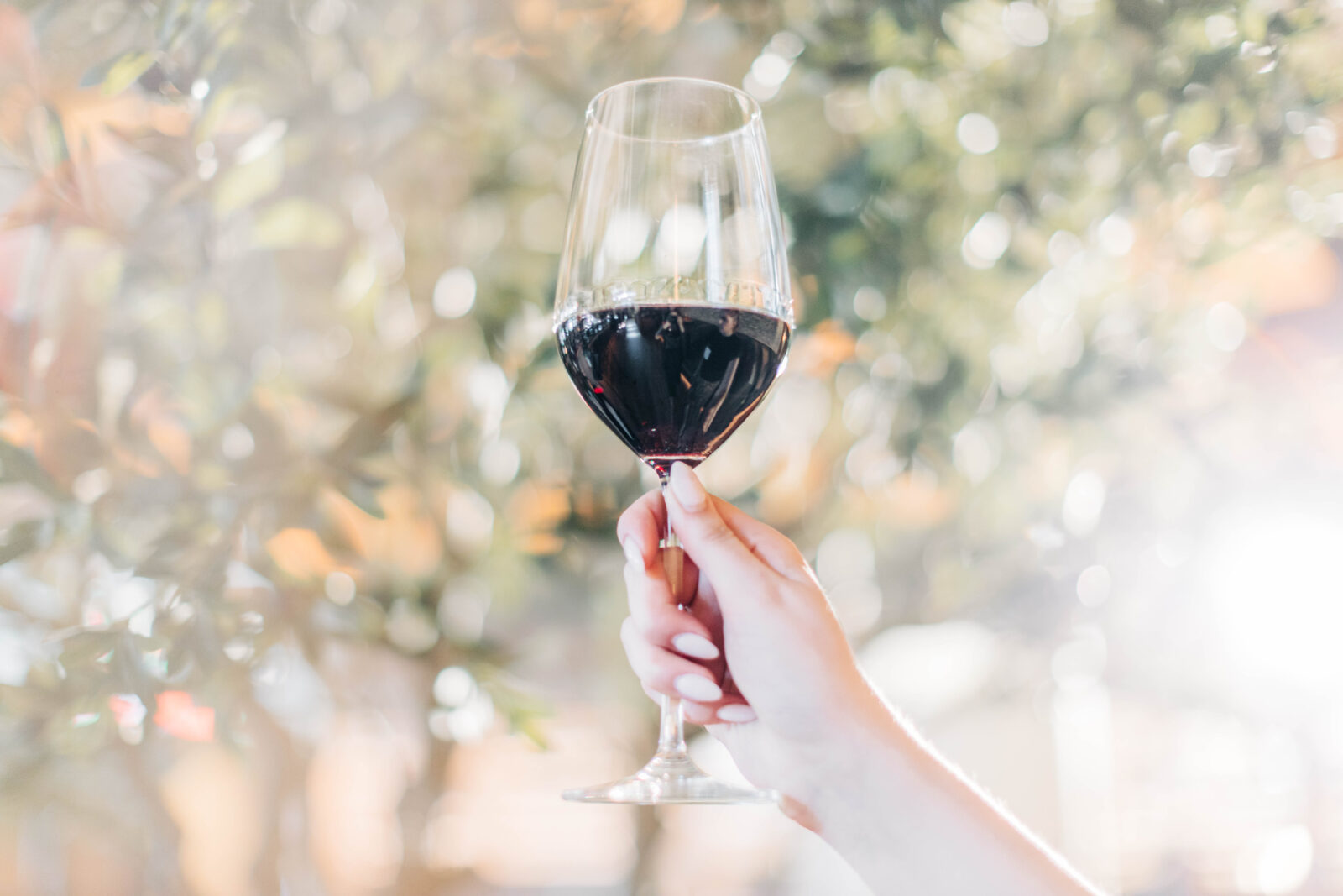 Sustainable Wines for Earth Month