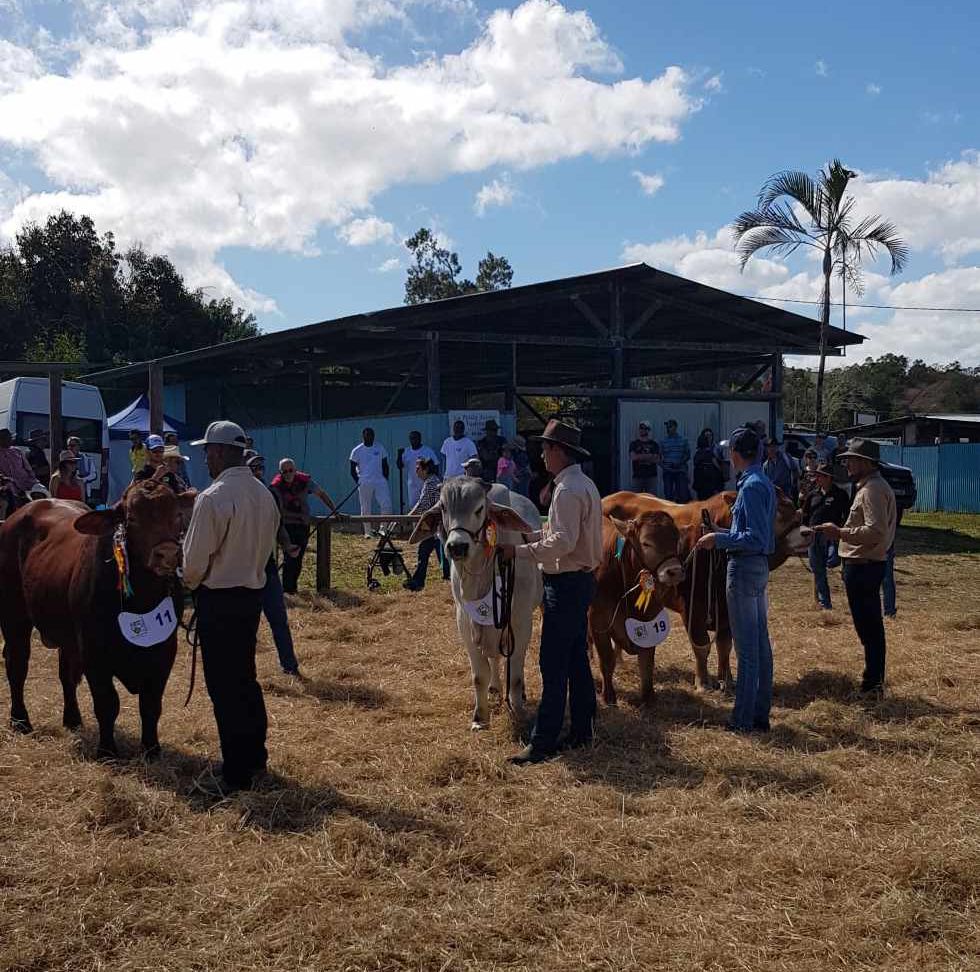 Foire Bourail concours.jpg