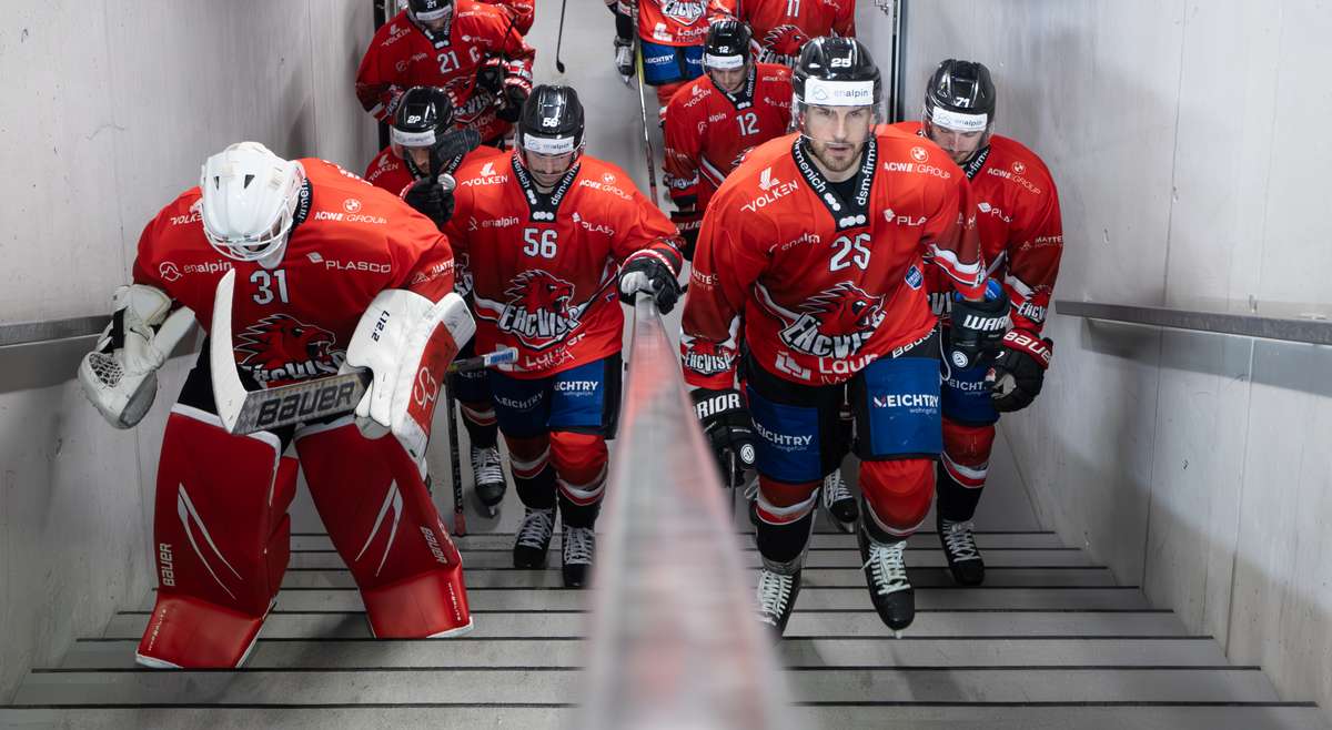 ehc visp live