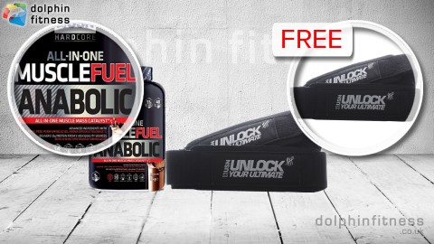 Free USN Padded Lifting Straps Pair