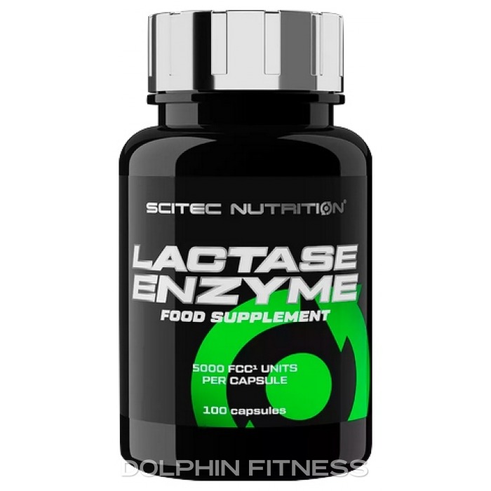 lactase enzyme pills