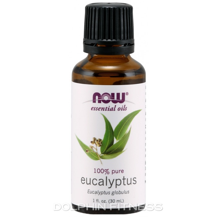 Now Foods Eucalyptus Oil - 16 fl oz