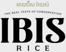 Ibis Rice