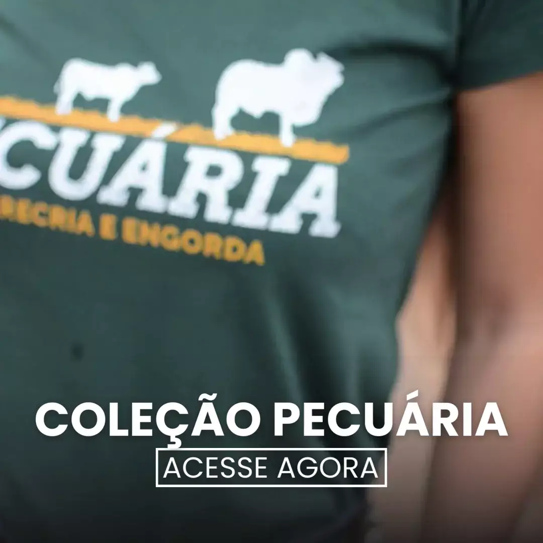 Imagem 1 da seção 7