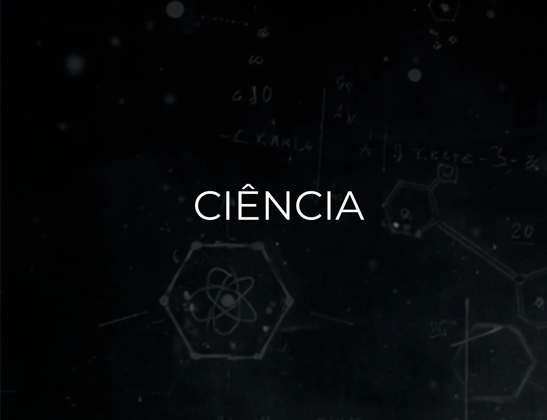 Imagem 0 da seção 3