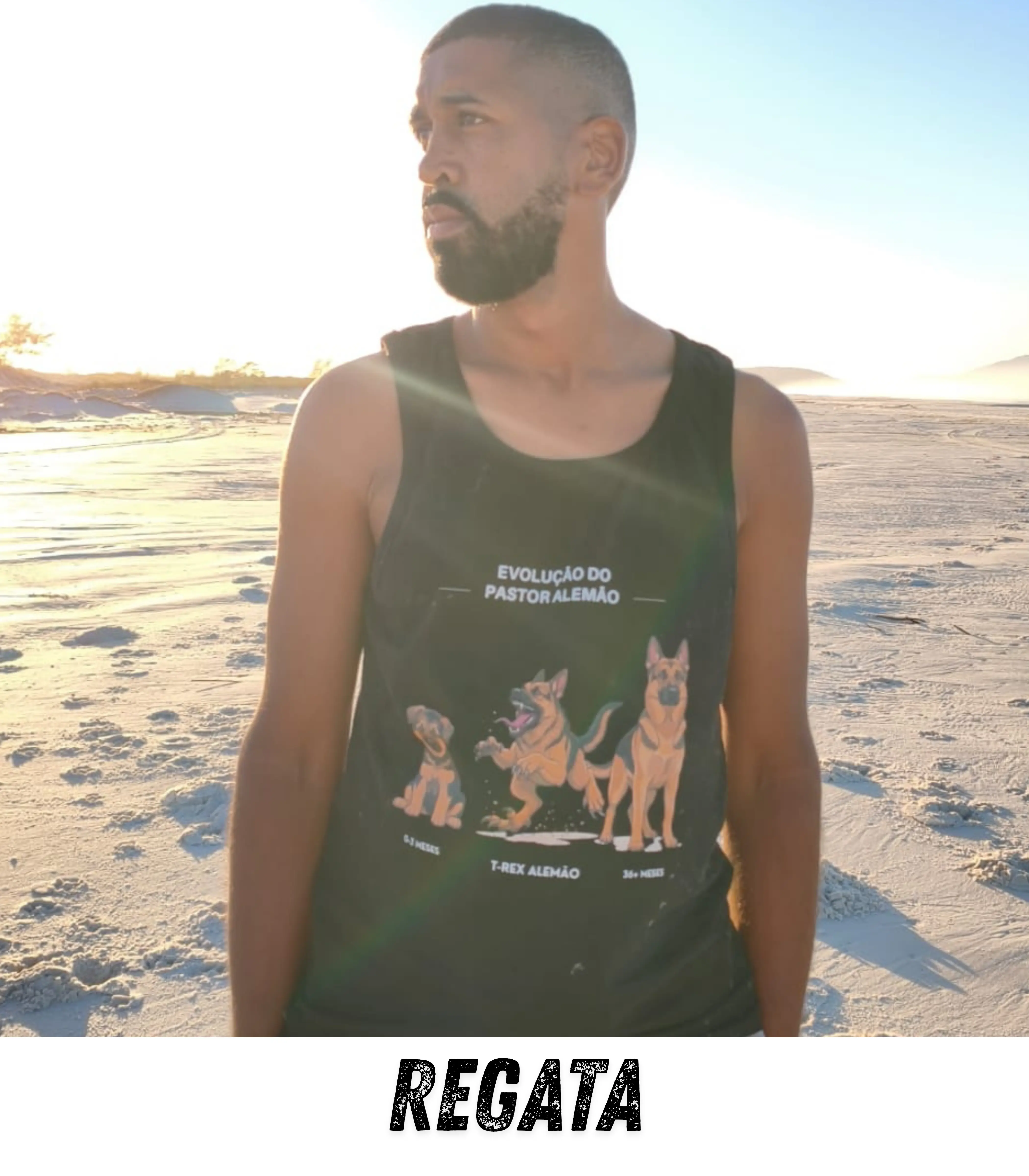 Imagem 0 da seção 14