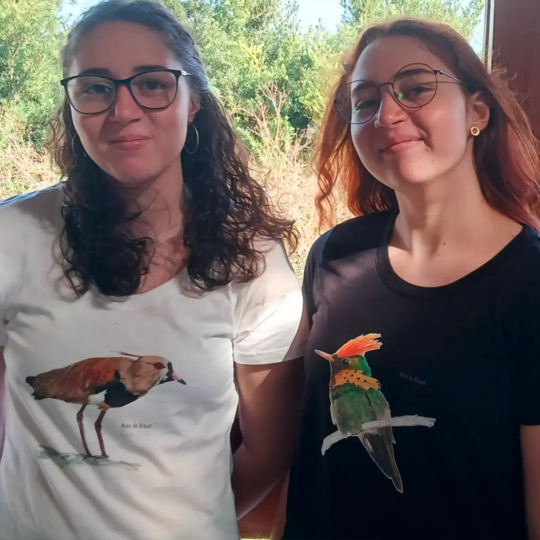 Imagem 3 da seção 10