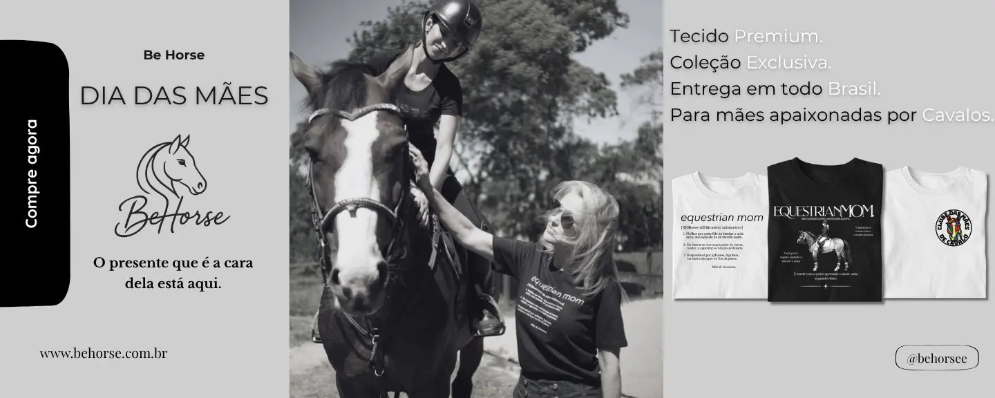 Imagem 0 da seção 1