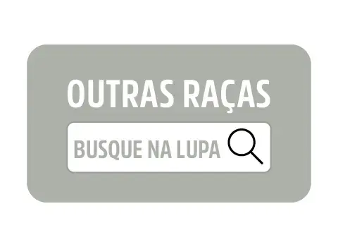 Imagem 5 da seção 21