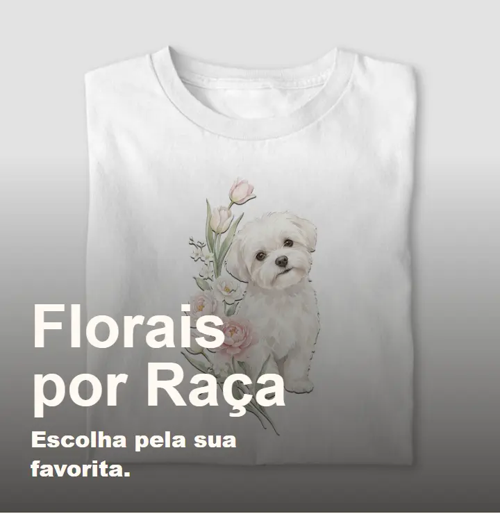 Imagem 1 da seção 4
