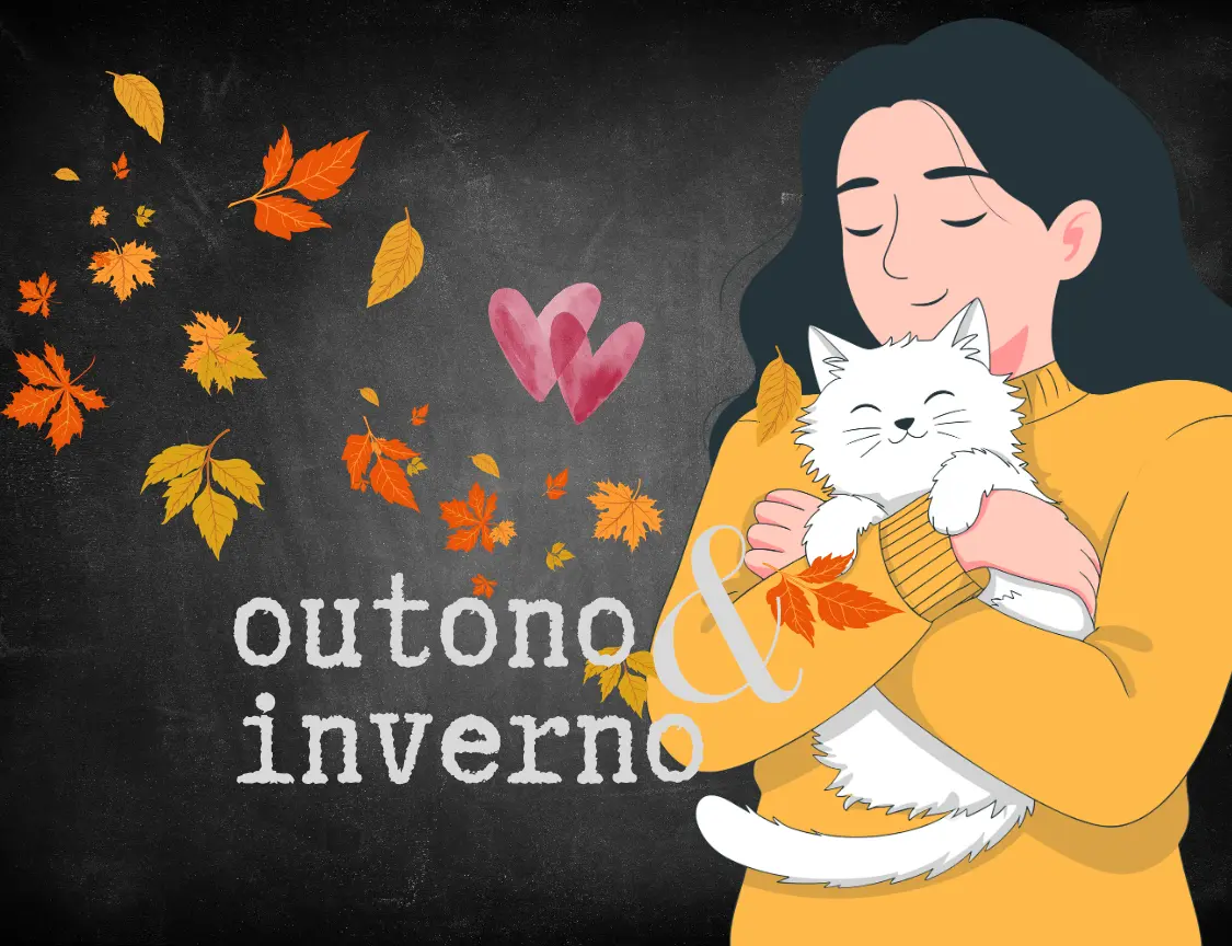 Mini banner