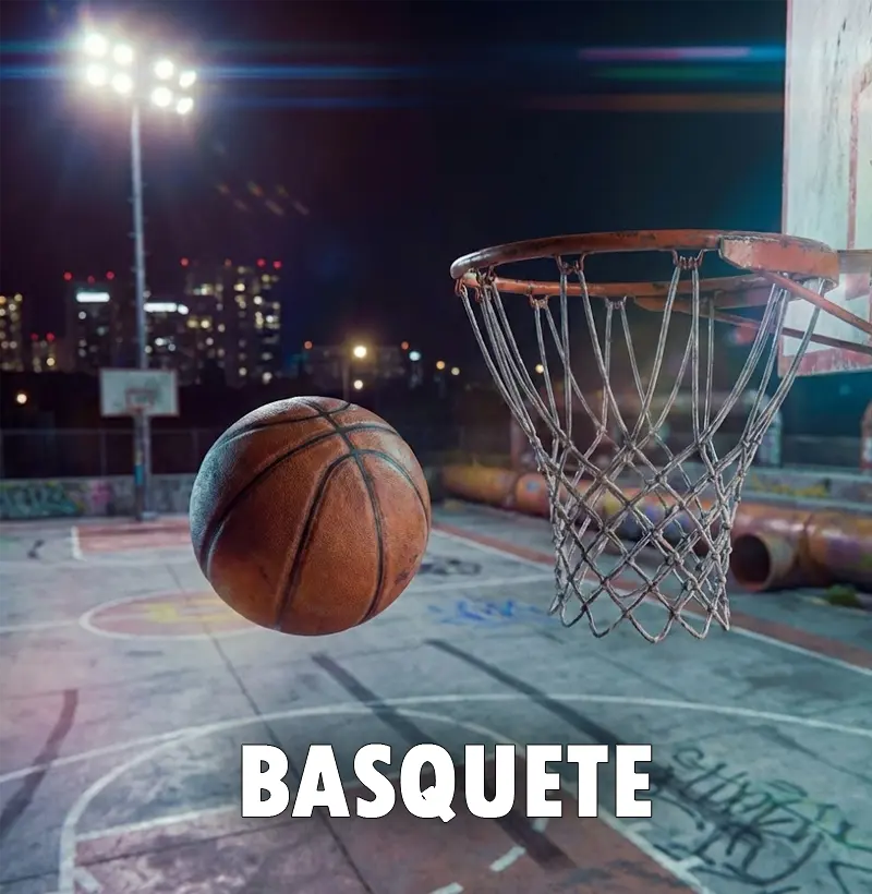 Imagem 1 da seção 3