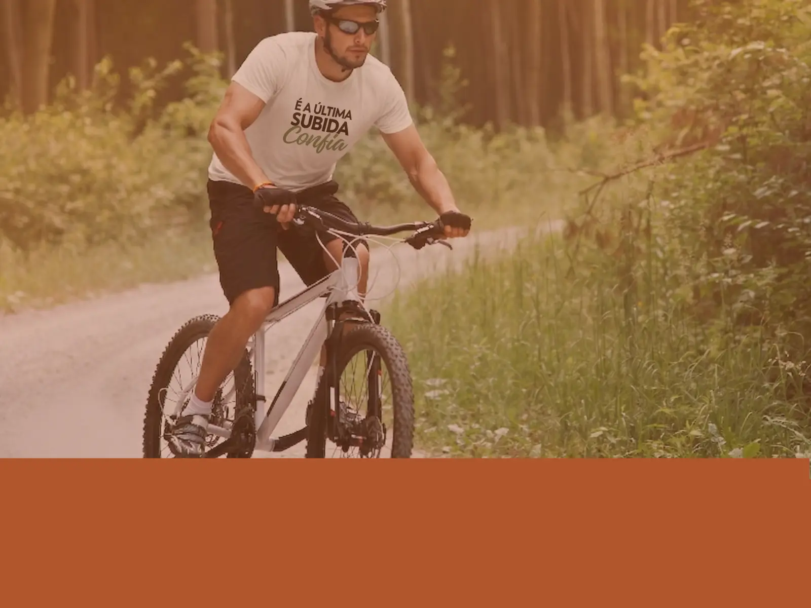 Imagem 2 da seção 2