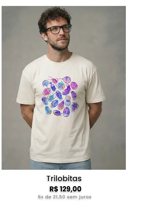 Imagem 3 da seção 12