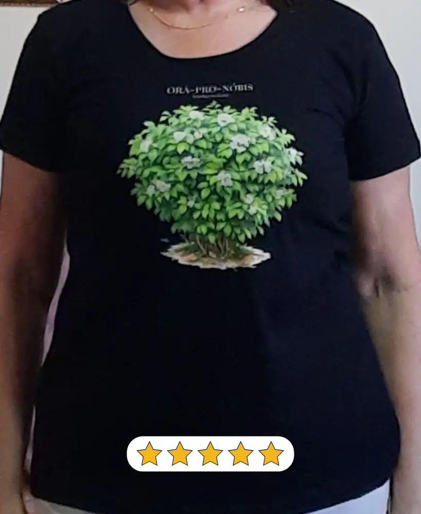 Imagem 1 da seção 9