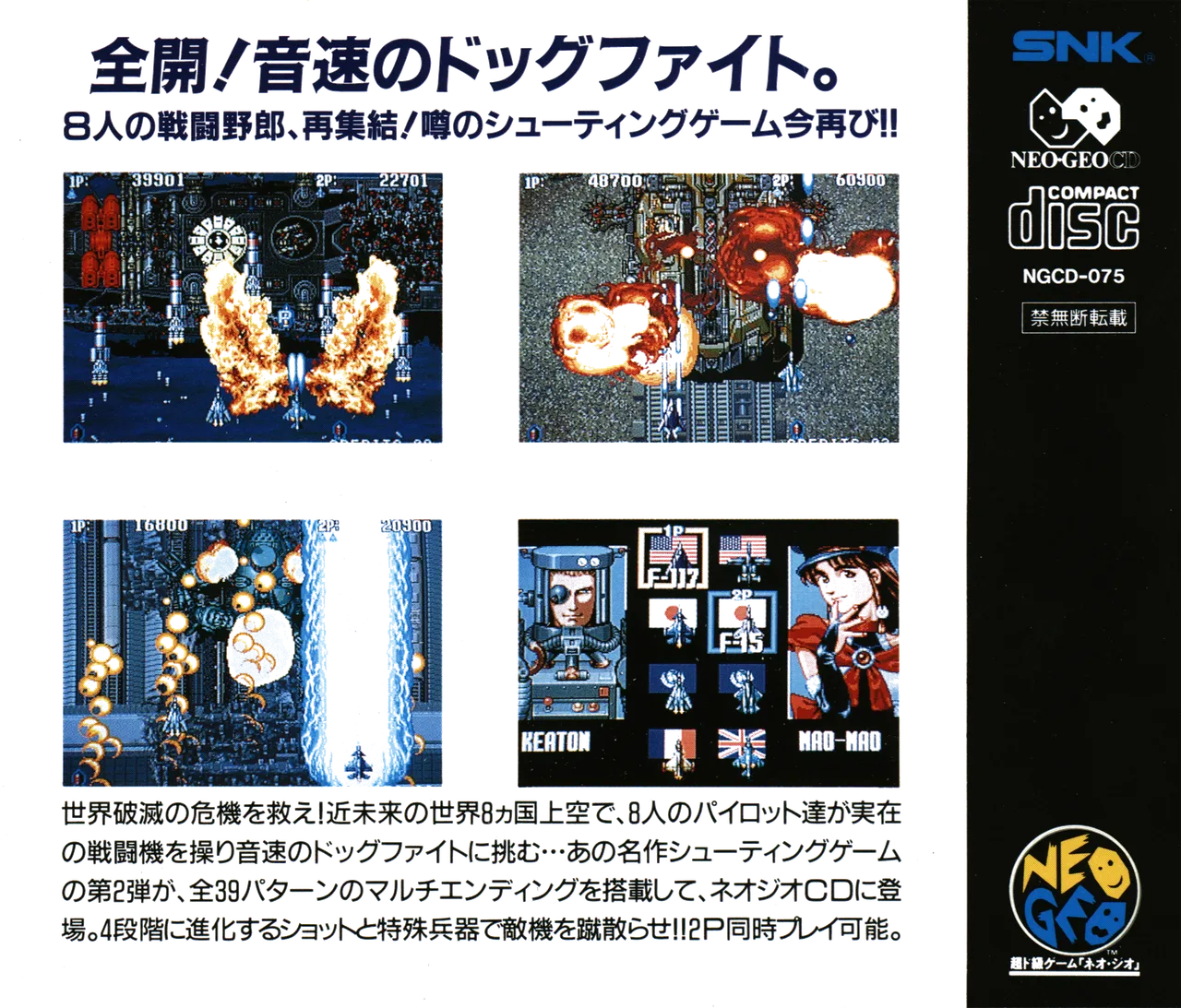 Aero Fighters 2 — Box - Back