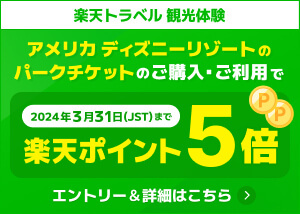 ディズニーUSポイントアップキャンペーン