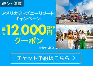アメリカ ディズニーリゾート 最大12,000円OFFクーポン