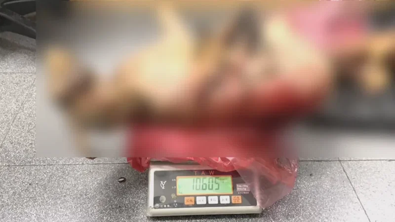 🚨 【法律與社會】網購轉賣保育類「台灣長鬃山羊」，越籍移工遭逮恐面臨重罰！