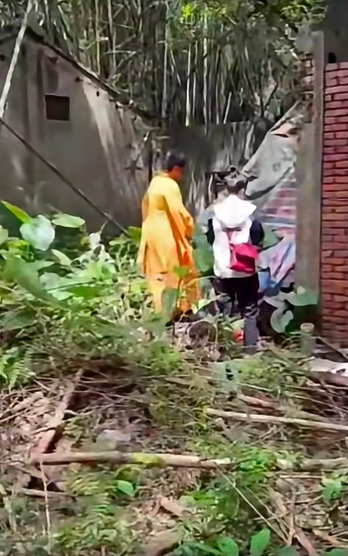 🕯️ 【傷感新聞 9/3】桃園草棚裡的悲劇：失聯移工的無奈與生命警告 1
