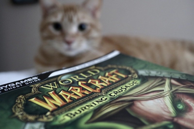 Top seven most valuable WoW game assets every player should know